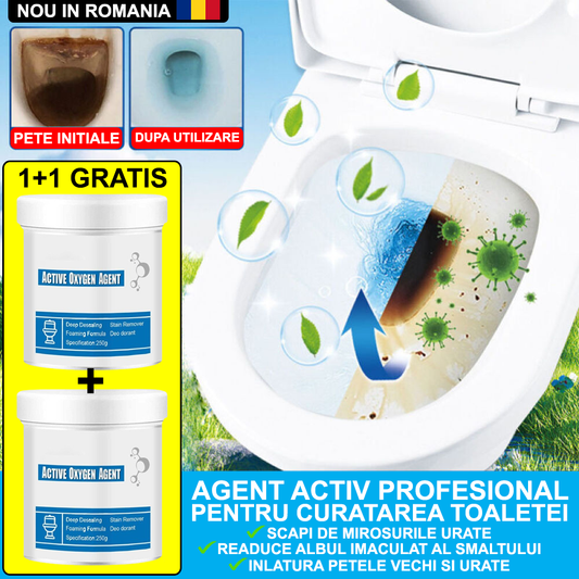 1+1 GRATIS: Agent activ PROFESIONAL pentru curatarea toaletelor, chiuvetelor si cazilor