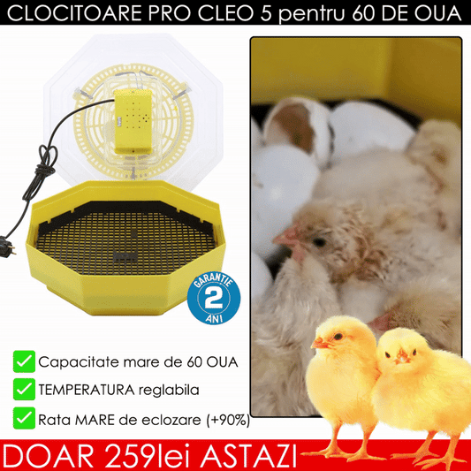 Incubator electric oua (clocitoare) PRO CLEO 5, 230 V, 60 oua capacitate, 38°C temperatura incubare