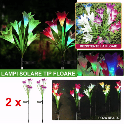 Set Lampi solare LED RGB model FLOARE cu acumulator tip crin